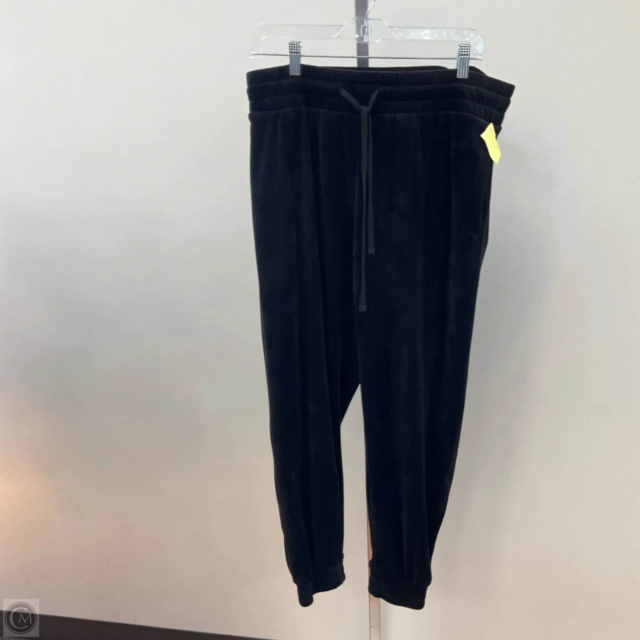 AntimicrobialTreatment Sky Cool Pants Joggers By Express In Black, Size: L