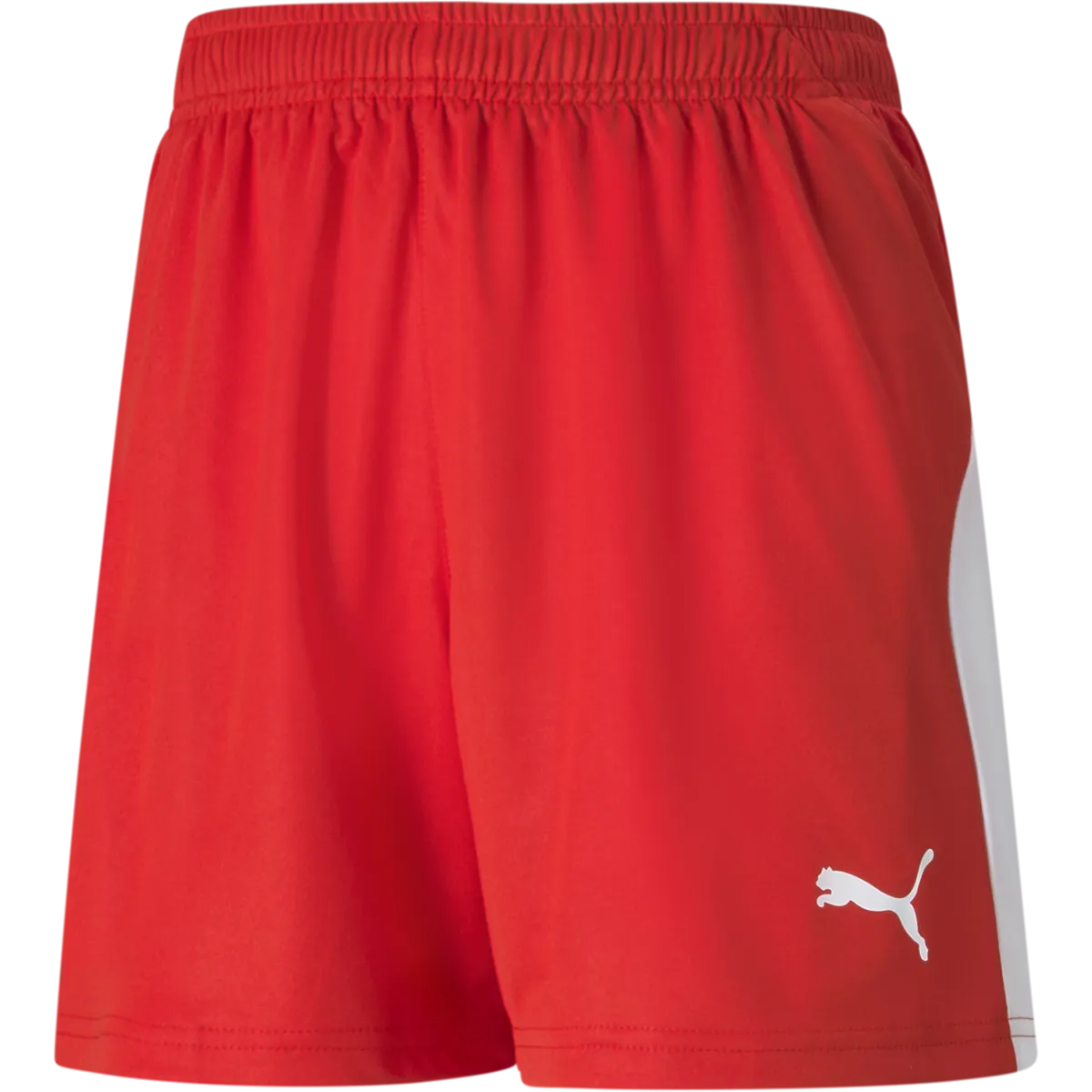 wrinkle free Youth Liga Shorts