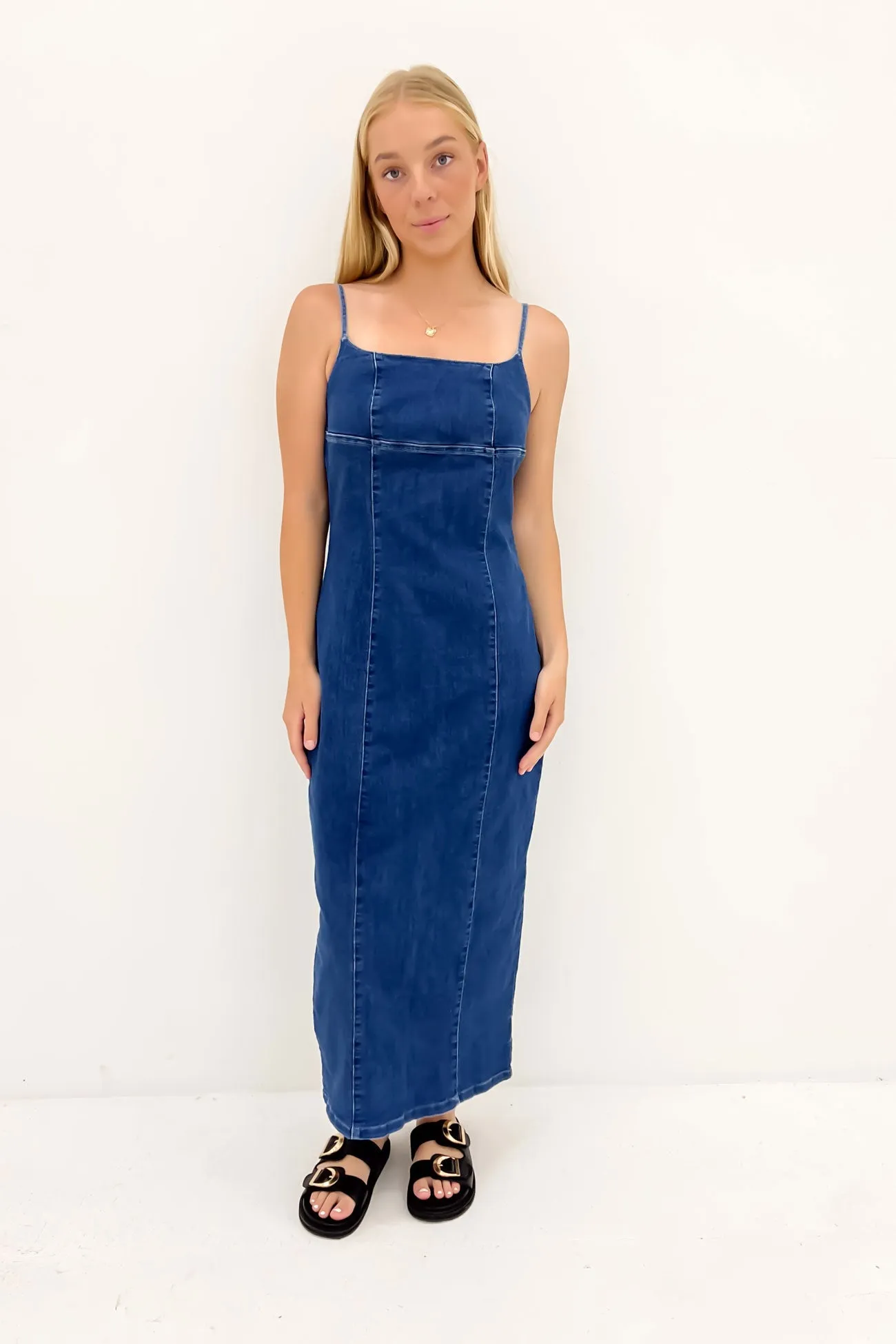 Romy Denim Midi Dress Indigo Spring Garden