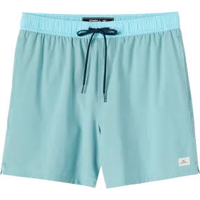 QuickRelease Fasteners WrinkleResistant Men's Hermosa Lined Volley 15"