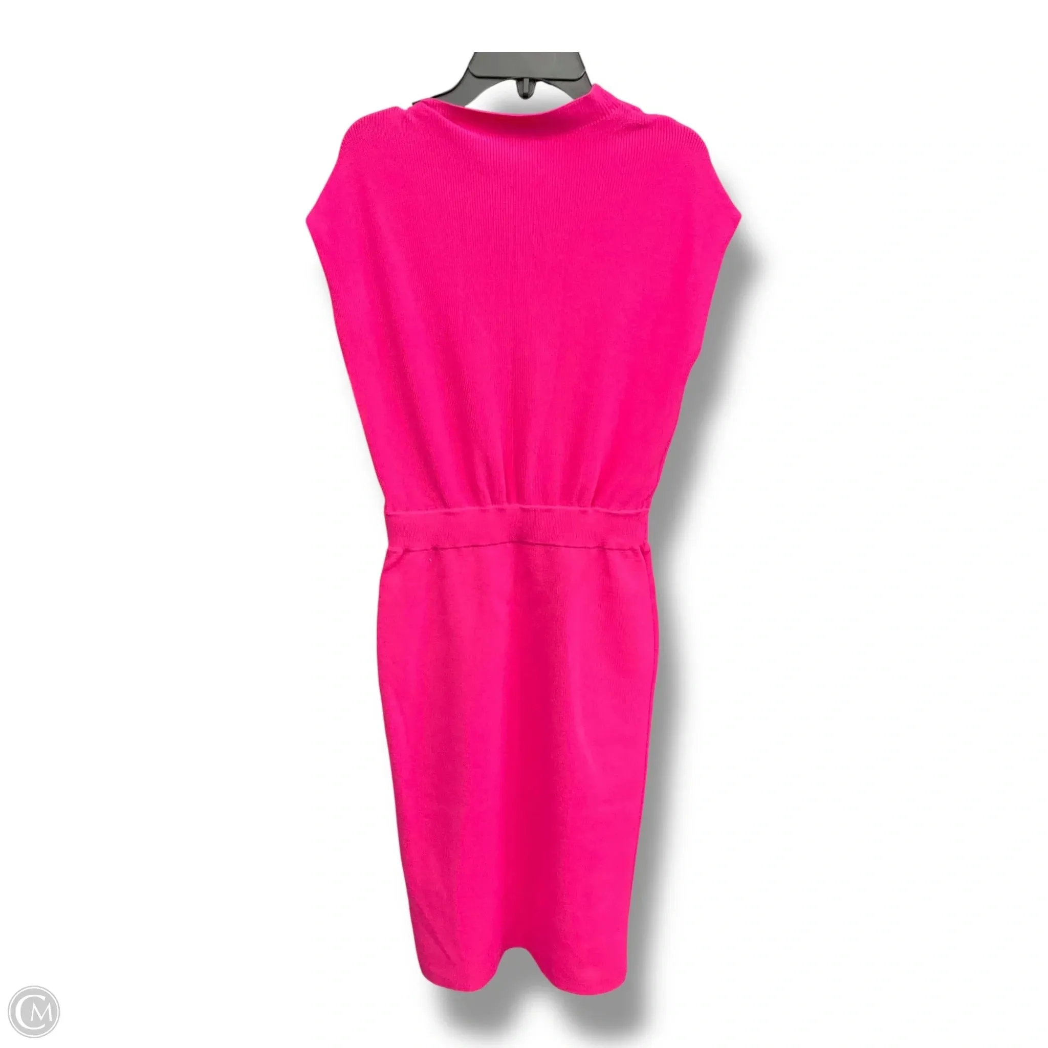 Picture Perfect Dress Casual Maxi By Ann Taylor In Pink, Size: Xxsp