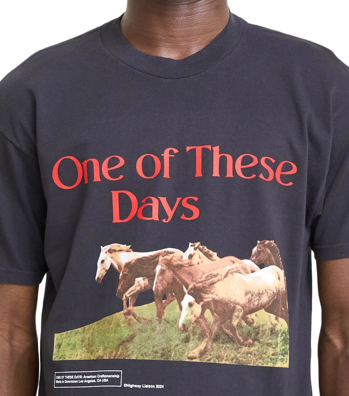 Cotton Glow FlexibleCollarDesign One Of These Days Wild Horses Short Sleeve T-Shirt Black