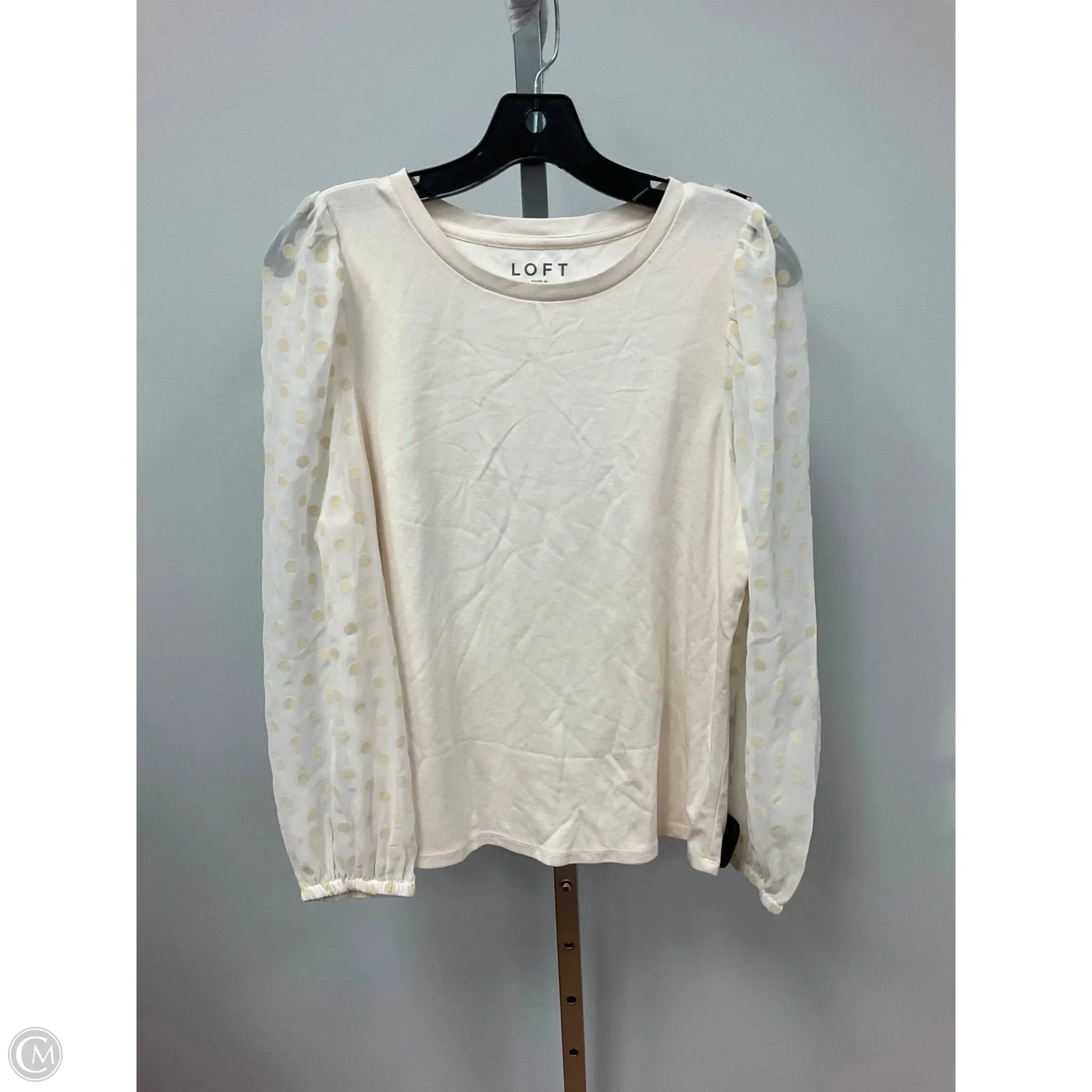 Dance Light Polish Glow Top Long Sleeve By Loft In Cream, Size: M