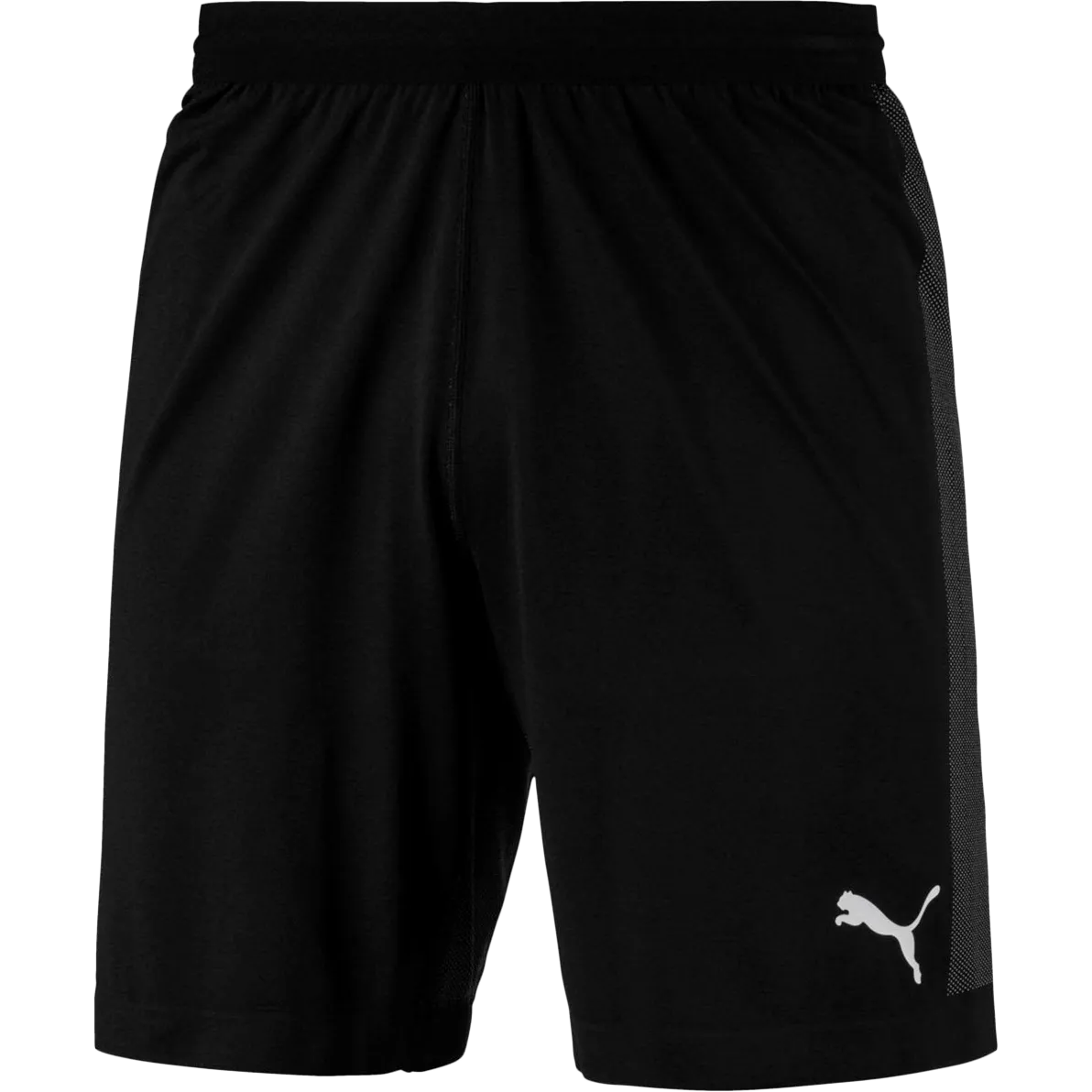 Men's Final EVOknit Shorts Design Soul