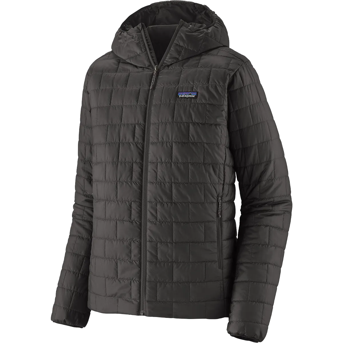 Men's Nano Puff Hoody Gloss Fit
