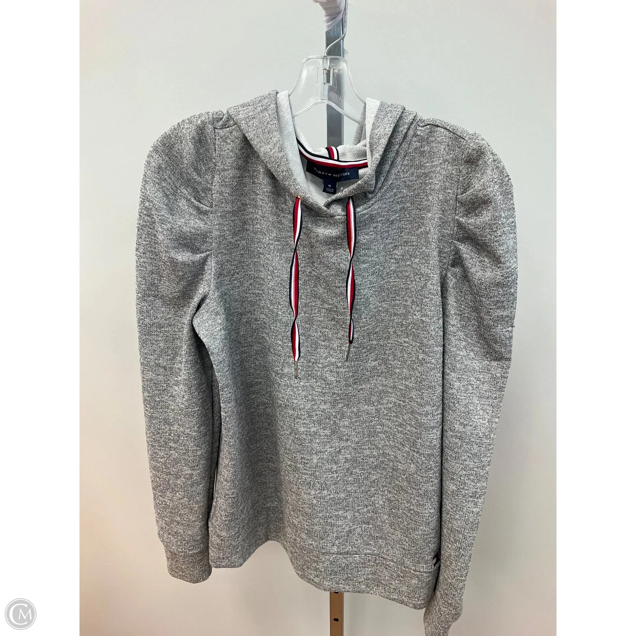 NonPill Surface Treatment Hidden Ventilation Zones Sweatshirt Hoodie By Tommy Hilfiger In Silver, Size: M