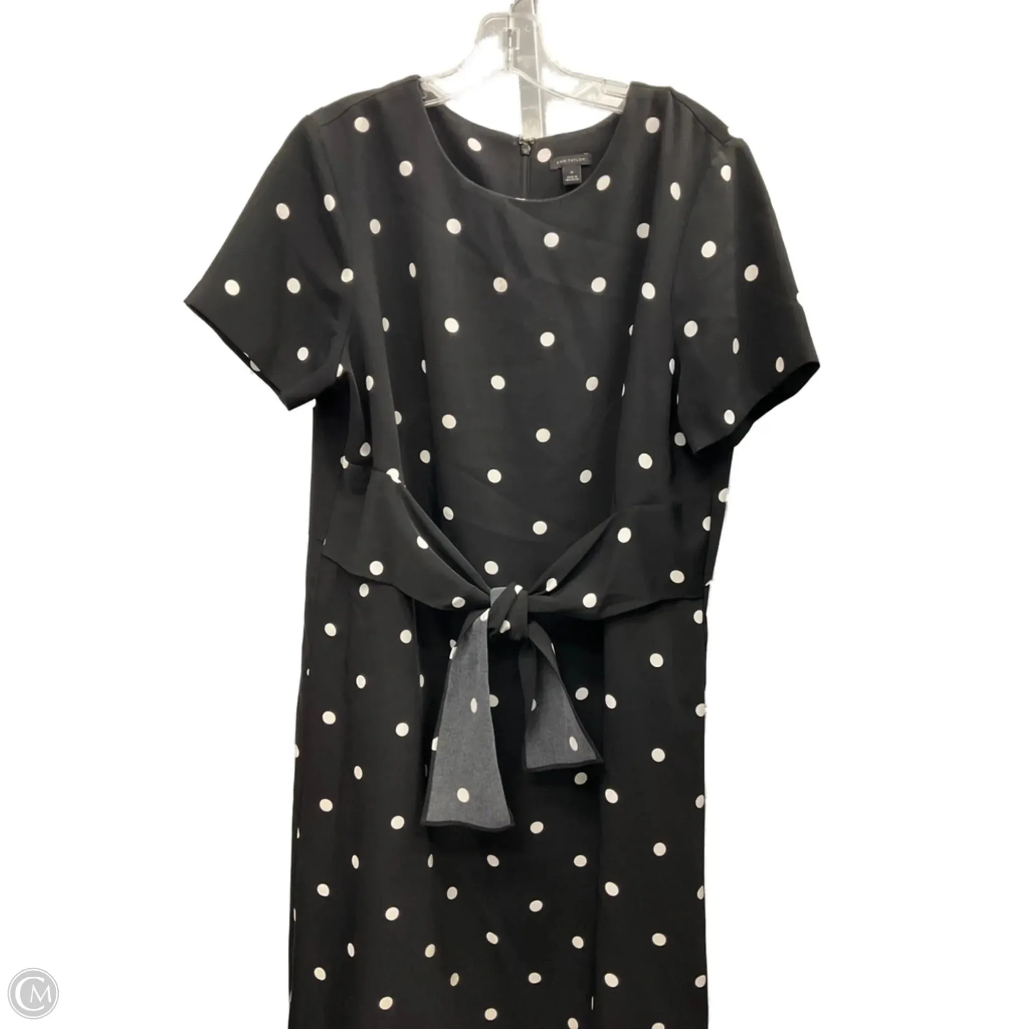 Dress Casual Short By Ann Taylor In Polkadot Pattern, Size: 14 Aerated Seam Placement