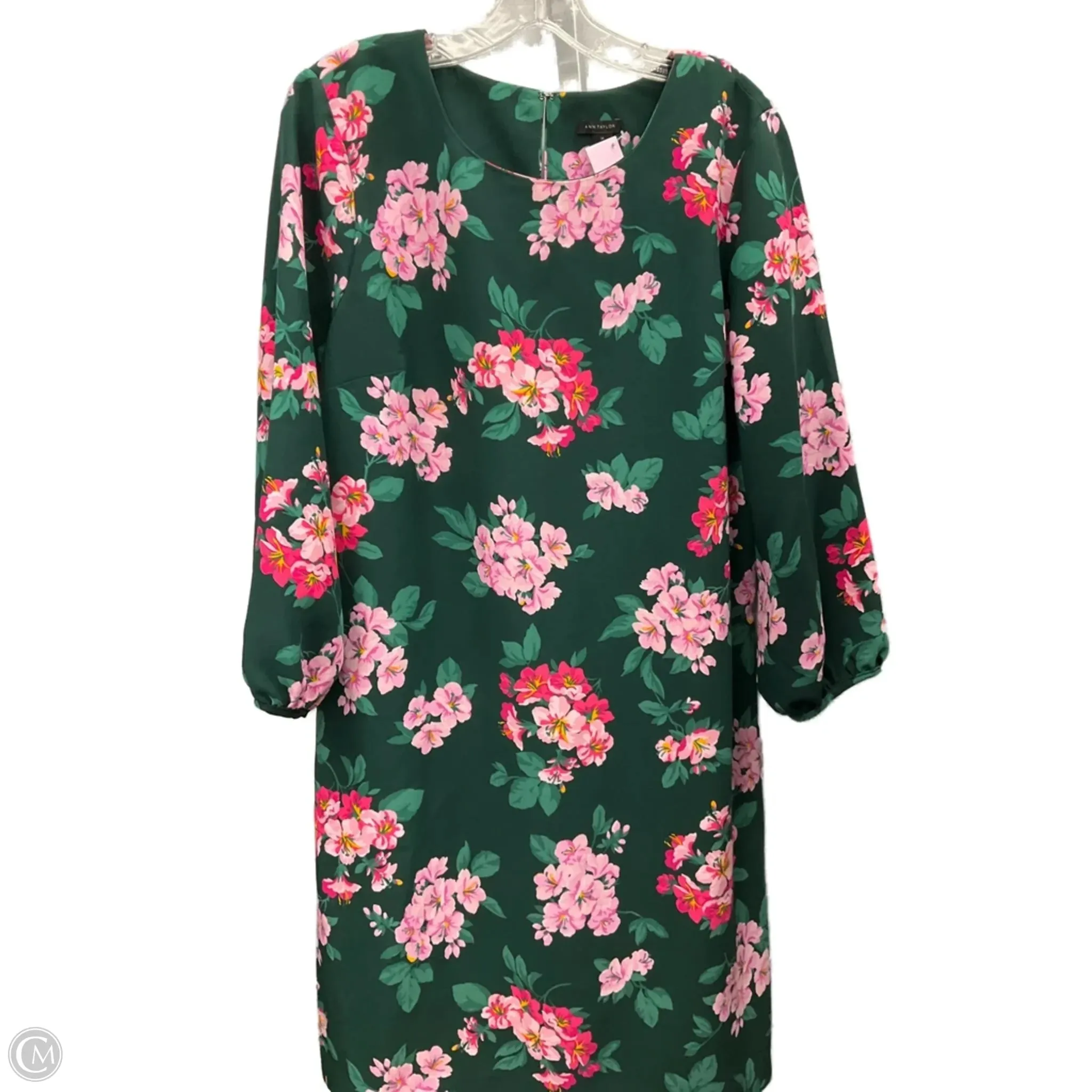 StaticFreeLining Dress Casual Short By Ann Taylor In Floral Print, Size: 14