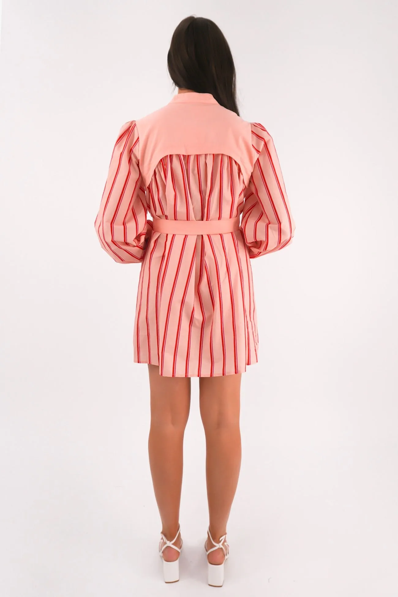 Blush Shade Elegant Wear Mae Mini Dress Pink Stripe