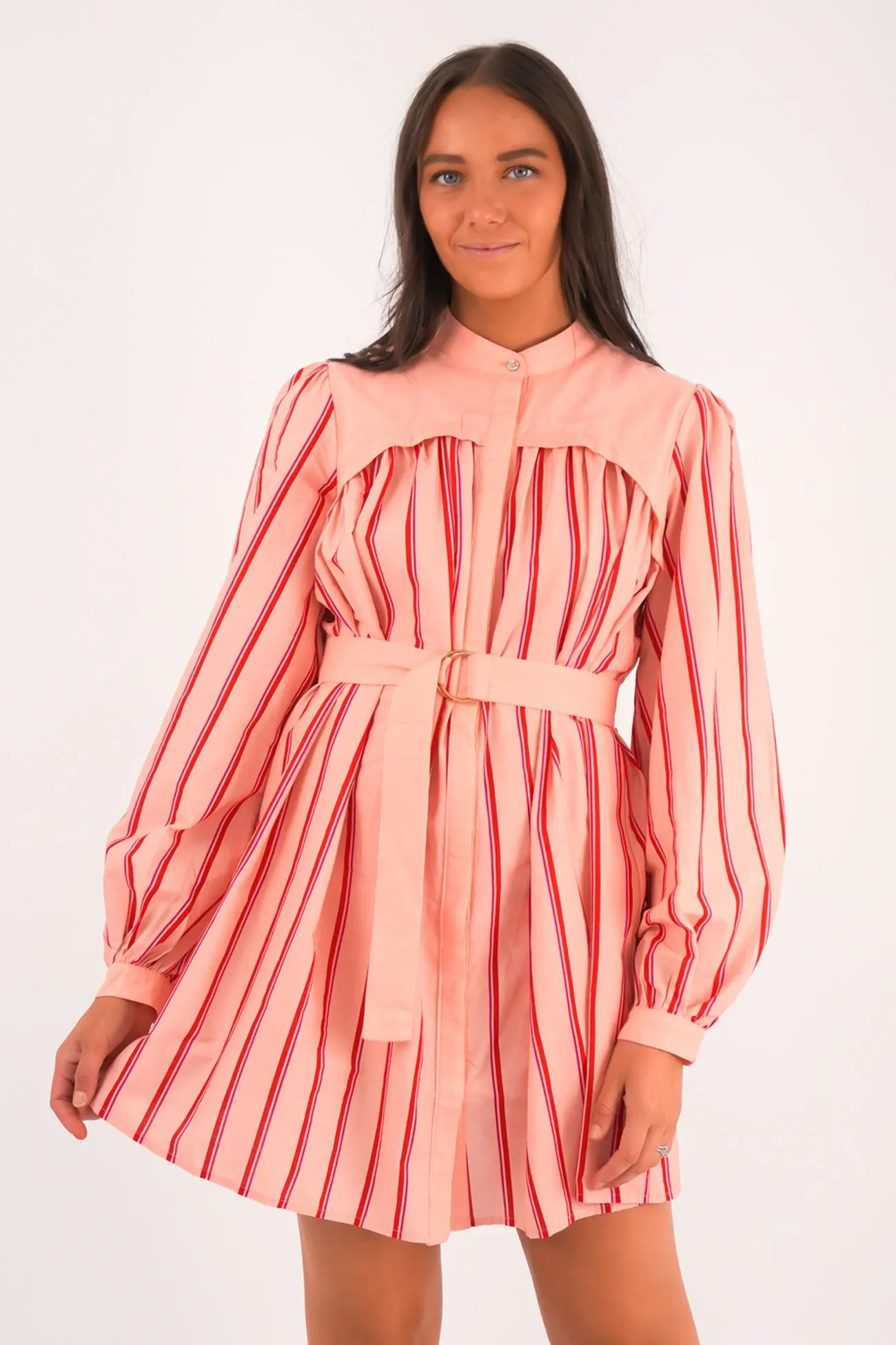Mae Mini Dress Pink Stripe Leg-Lengthening