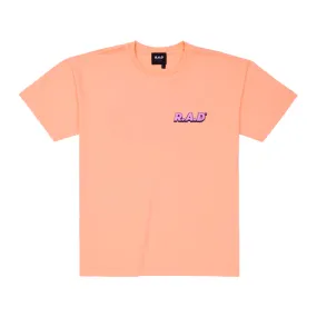Basic Wear HEAVY? DBE TEE PEACH