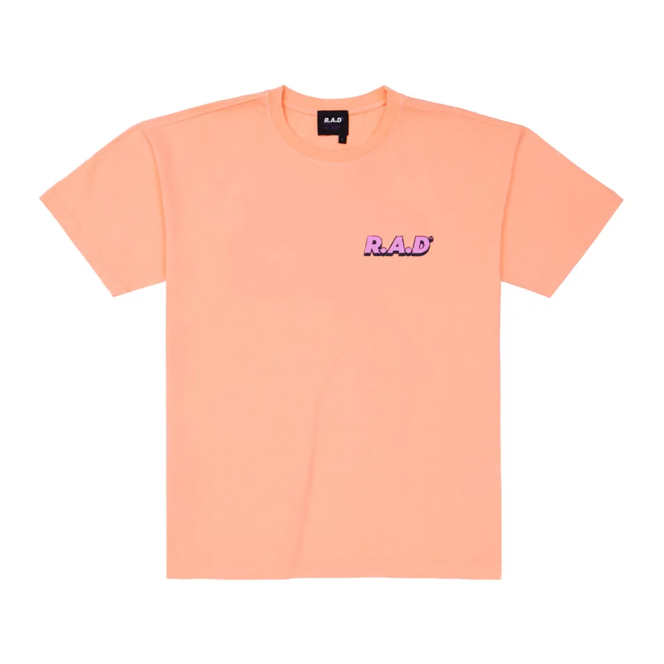 Basic Wear HEAVY? DBE TEE PEACH