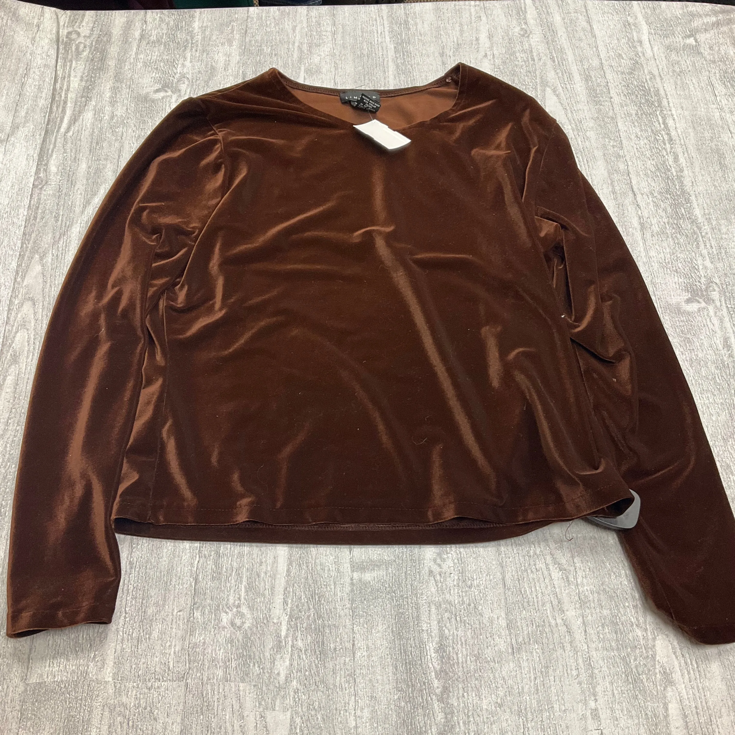EcoDye Process Breathable Lining Top Long Sleeve By Limited In Brown, Size: L
