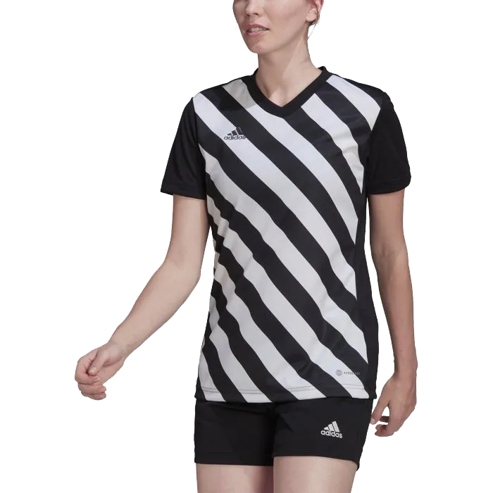 Wool Fit AI Core Women's Entrada 22 Graphic Jersey